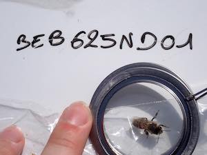 BEB625ND01_01%20-%20copie